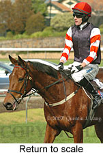 Return to scale (15472 bytes)