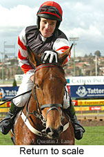 Return to scale (15472 bytes)