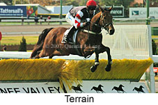 Terrain (16727 bytes)