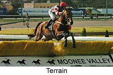 Terrain (16727 bytes)