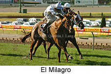 El Milagro (16727 bytes)