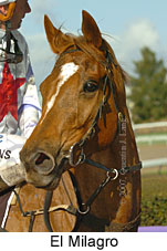El Milagro (16727 bytes)