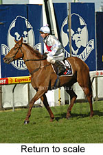 Return to scale (15472 bytes)