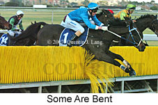 Some Are Bent (16727 bytes)