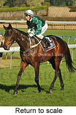 Return to scale (15472 bytes)