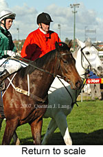 Return to scale (15472 bytes)