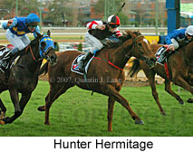 Hunter Hermitage (16727 bytes)