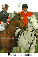 Return to scale (15472 bytes)