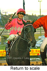 Return to scale (15472 bytes)