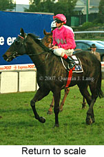 Return to scale (15472 bytes)