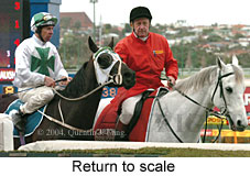 Return to scale (17224 bytes)