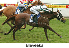 Bleveeka (16131 bytes)