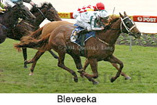 Bleveeka (14553 bytes)