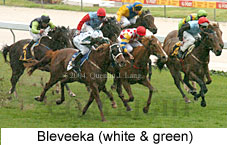 Bleveeka (16691 bytes)