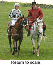 Return to scale (15971 bytes)