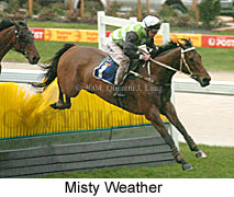 Misty Weather (17583 bytes)