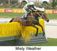 Misty Weather (14824 bytes)