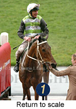 Return to scale (13097 bytes)