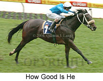 How Good Is He (13934 bytes)