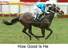 How Good Is He (13740 bytes)