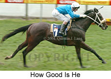 How Good Is He (13440 bytes)