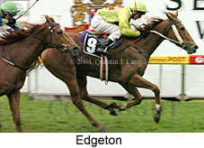 Edgeton (16076 bytes)