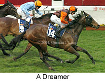 A Dreamer (16448 bytes)