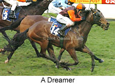 A Dreamer (16731 bytes)