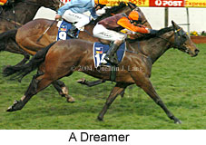 A Dreamer (16778 bytes)