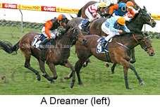 A Dreamer (17000 bytes)