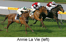 Annie La Vie  (13494 bytes)