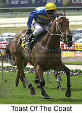 r2toastofthecoast4.jpg (16986 bytes)