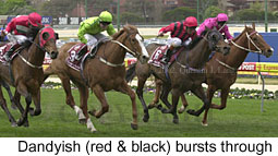 r3dandyish2.jpg (18033 bytes)