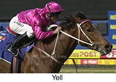 r4yell.jpg (14541 bytes)