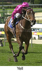 r4yell2.jpg (13866 bytes)