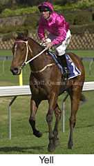 r4yell4.jpg (12917 bytes)