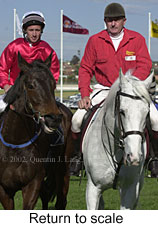 r5rtosc.jpg (14975 bytes)