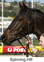 r5spinninghill3.jpg (13753 bytes)