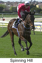 r5spinninghill5.jpg (13298 bytes)