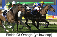 r6fieldsofomagh.jpg (17800 bytes)