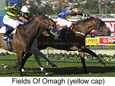 r6fieldsofomagh2.jpg (20132 bytes)