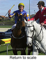 r6rtosc.jpg (15018 bytes)