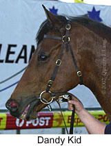 r8dandykid4.jpg (12878 bytes)