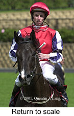 r2rtosc.jpg (13159 bytes)