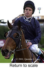 r3rtosc.jpg (11816 bytes)