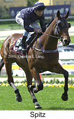 r3spitz2.jpg (16359 bytes)