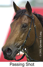 r4passingshot2.jpg (10331 bytes)