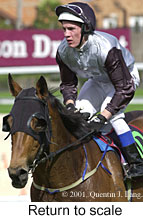 r4rtosc.jpg (13914 bytes)