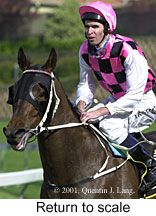 r5rtosc.jpg (14948 bytes)