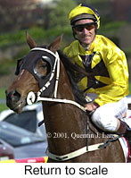 r6rtosc.jpg (13507 bytes)